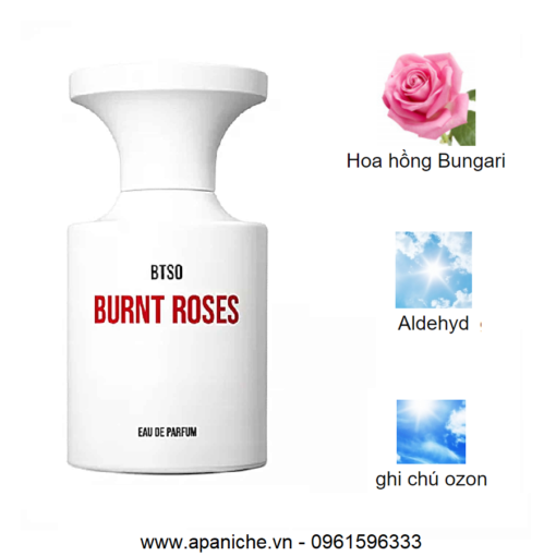 Borntostandout-Burnt-Roses-mui-huong