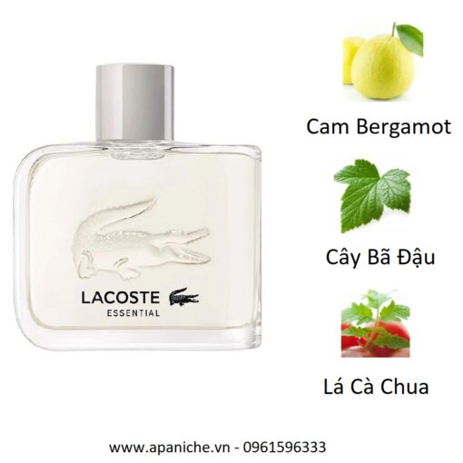 Lacoste-Essential-EDT-mui-huong