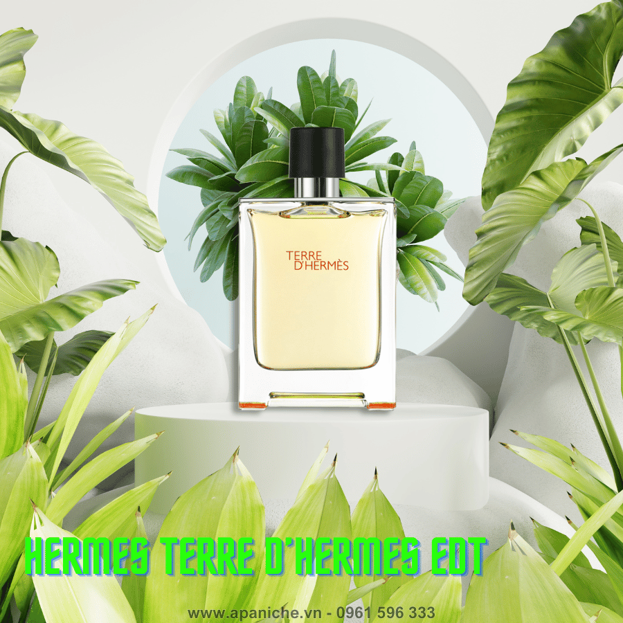 Nước Hoa Pháp Nam Hermes Terre d’Hermes EDT