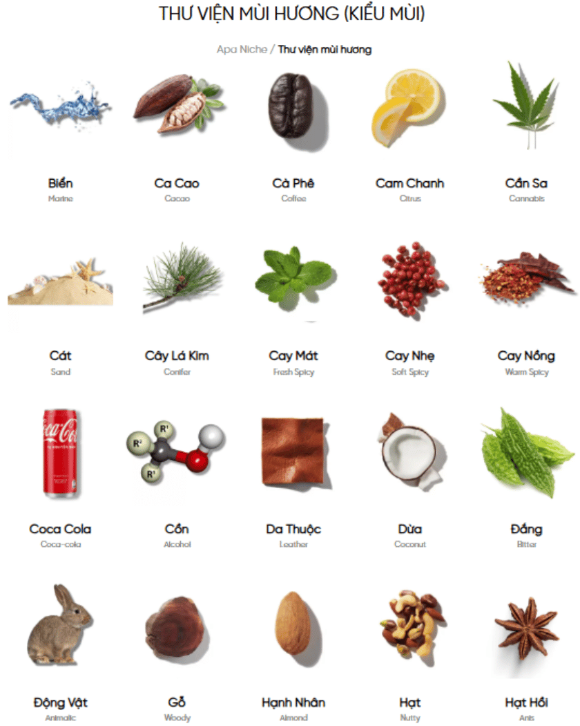 Kiểu mùi hương