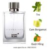 Montblanc-Starwalker-EDT-mui-huong