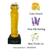 Nacho-Vidal-Twenty-Five-Gold-EDT-mui-huong