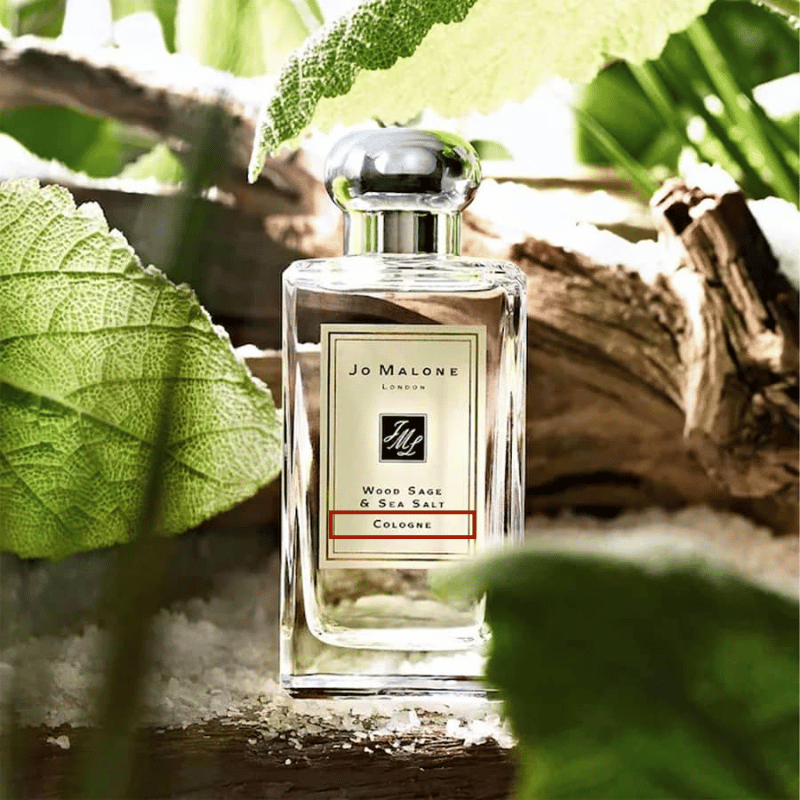 Nồng độ Eau de Cologne (EDC)