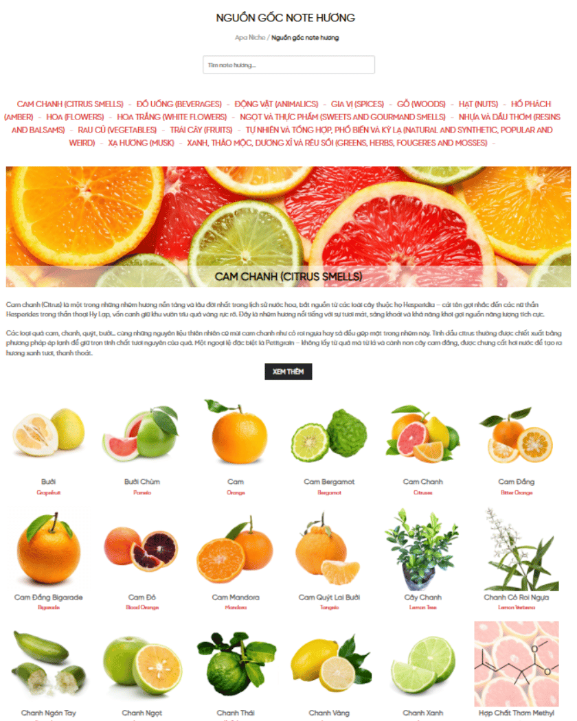 Note hương - Thành phần mùi hương