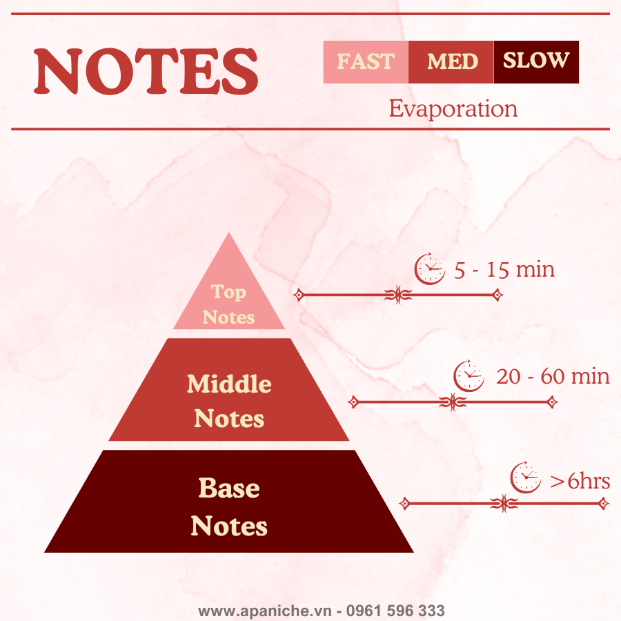 Thuật Ngữ Nước Hoa Notes Hương Nước Hoa