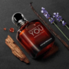 Emporio Armani Stronger With You Absolutely Parfum Apa Niche