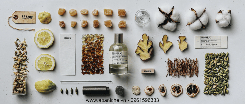 Le Labo Berlin City Exclusive Cedrat 37