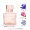 Maison Francis Kurkdjian Feminin Pluriel EDP mùi hương
