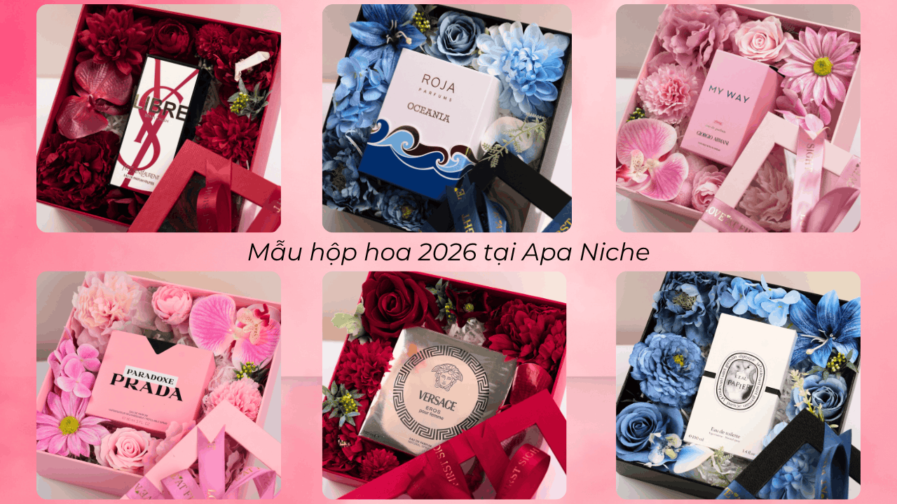 mau hop hoa 2026 tai Apa Niche