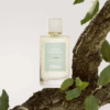 Chloe Atelier Des Fleurs Chêne giá tốt nhất