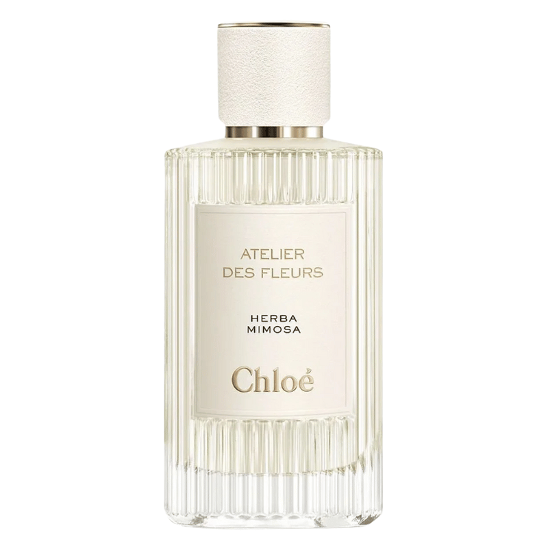 Chloe Atelier Des Fleurs Herba Mimosa Apa Niche