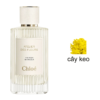 Chloe Atelier Des Fleurs Herba Mimosa mùi hương
