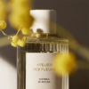 Chloe Atelier Des Fleurs Herba Mimosa tại Hà Nội