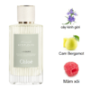 Chloe Atelier Des Fleurs Hysope mùi hương