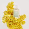 Chloe Atelier Des Fleurs Immortelle giá tốt nhất