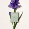 Chloe Atelier Des Fleurs Iris tại Hà Nội