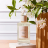 Chloe Atelier Des Fleurs Jasminum Sambac tại Hà Nội