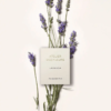 Chloe Atelier Des Fleurs Lavanda tại Hà Nội