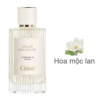 Chloe Atelier Des Fleurs Magnolia Alba mùi hương
