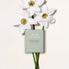 Chloe Atelier Des Fleurs Narcissus Poeticus tại Hà Nội