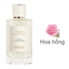 Chloe Atelier Des Fleurs Rosa Damascena mùi hương