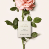 Chloe Atelier Des Fleurs Rosa Damascena tại Hà Nội
