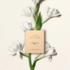 Chloe Atelier Des Fleurs Tuberosa 1974 tại Hà Nội