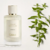 Chloe Atelier Des Fleurs Verbena chính hãng