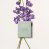 Chloe Atelier Des Fleurs Violette tại Hà Nội