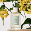 Chloe Atelier Des Fleurs Ylang Cananga giá tốt nhất