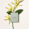 Chloe Atelier Des Fleurs Ylang Cananga tại Hà Nội