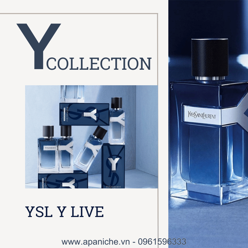 Yves Saint Laurent YSL Y Live