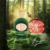 Sospiro Basso EDP tại Hà Nội