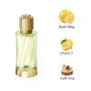 mui huong Atelier Versace Cedrat De Diamante EDP