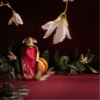 The Merchant of Venice Red Potion EDP gia tot