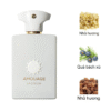 Amouage Decision EDP mùi hương