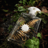 Amouage Bracken Man EDP tại Hà Nội