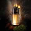 Montale Vetiver Patchouli EDP gia tot