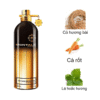 Montale Vetiver Patchouli EDP mùi hương