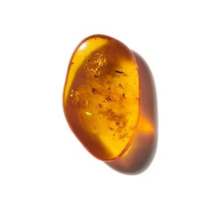 Hổ Phách