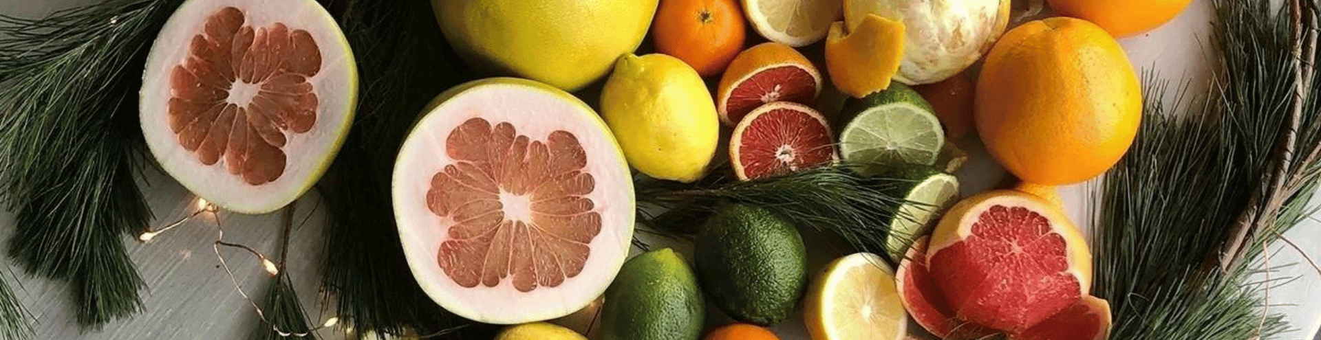 nhom-huong-cam-chanh-thao-moc