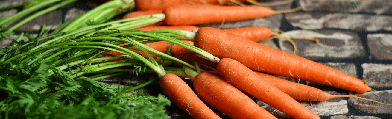 Cà Rốt