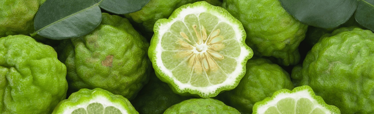 Cam Bergamot