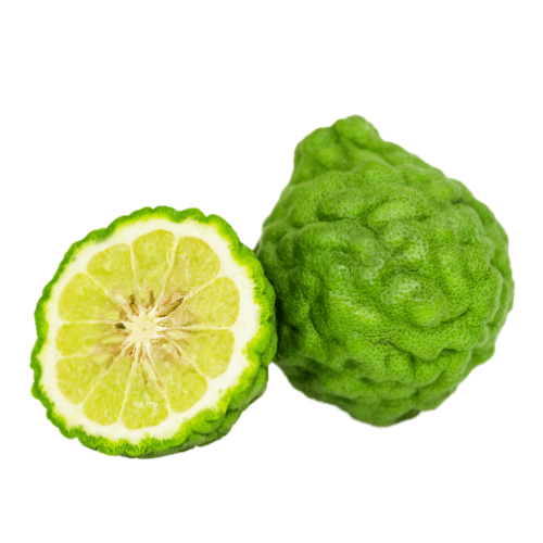 Cam Bergamot