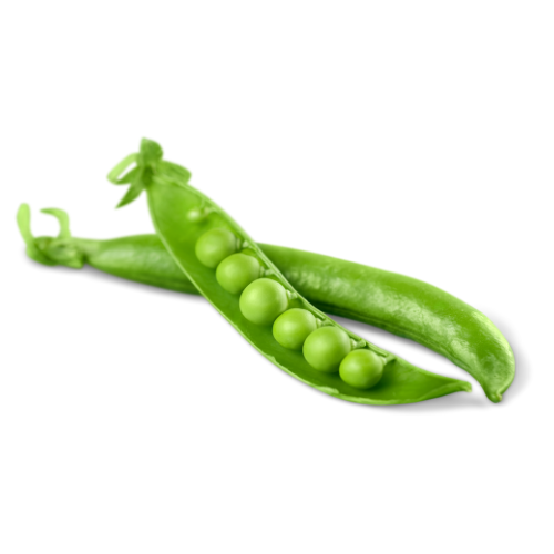 Đậu Hà Lan Đậu Hà Lan