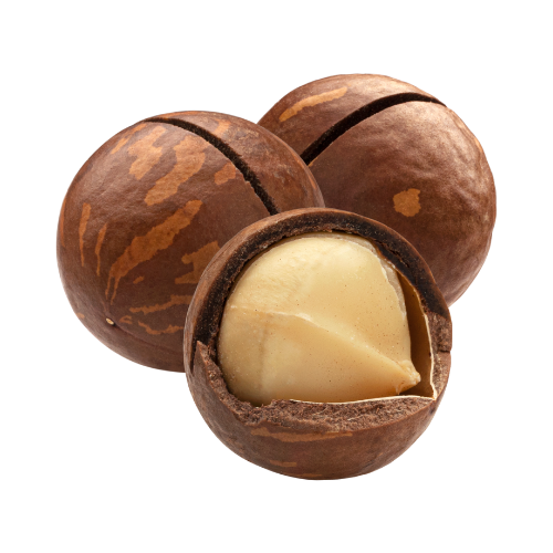 Hạt Mắc Ca Hạt Mắc Ca