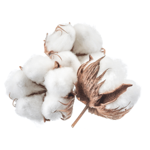 note-huong-hoa-bong-gon