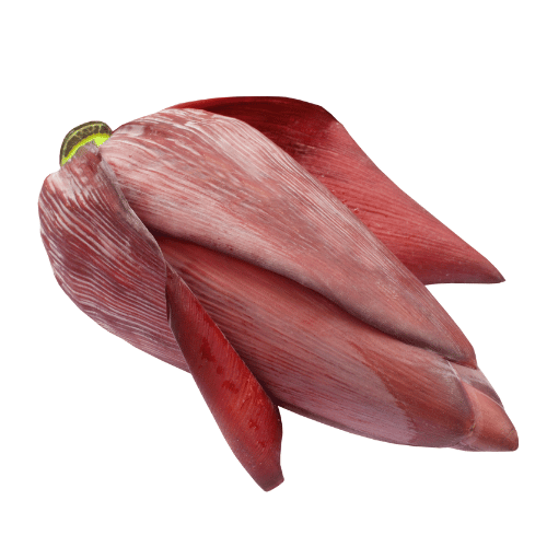 Hoa Chuối Hoa Chuối