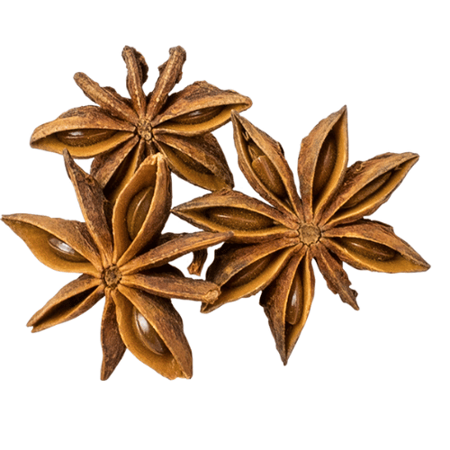 Hoa Hồi