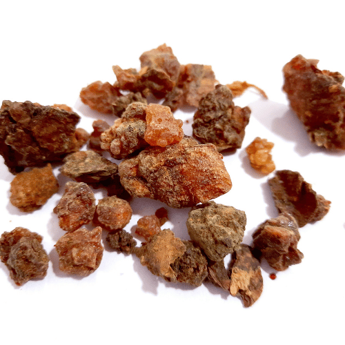 Mộc Dược
